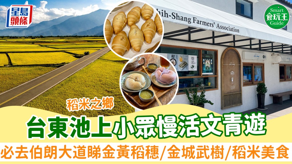 台東池上景點6大推介！「稻米之鄉」小眾慢活文青遊 必去伯朗大道睇金黃稻穗/金城武樹/稻米美食