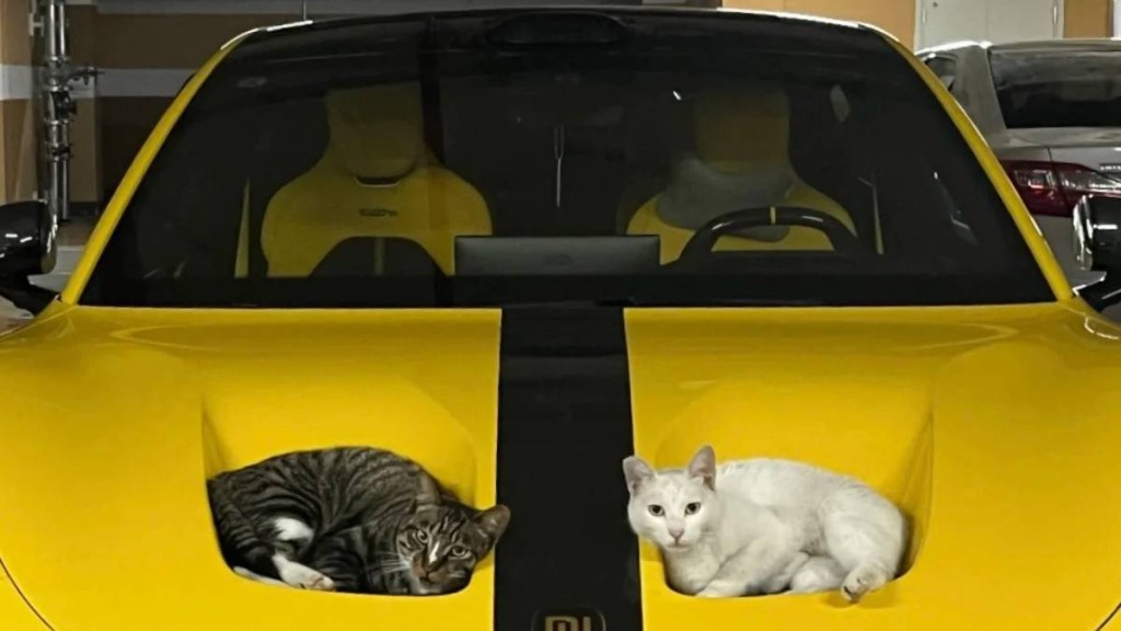 小米SU7 Ultra車頭冚的雙凹位變完美貓窩。小紅書