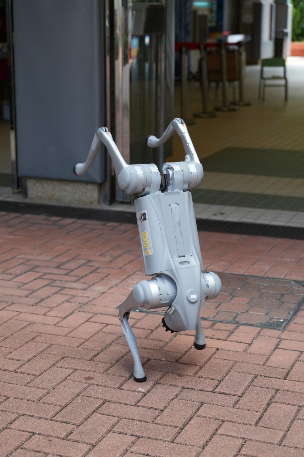 我都識跳霹靂舞!(圖:霍楚暉) 我都識跳霹靂舞!(圖:霍楚暉)