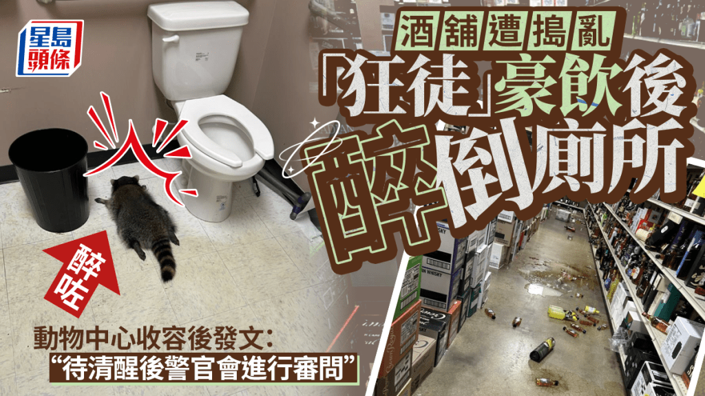 美酒行遭「洗劫」滿地玻璃酒液  「匪徒」醉倒廁所被押動物中心