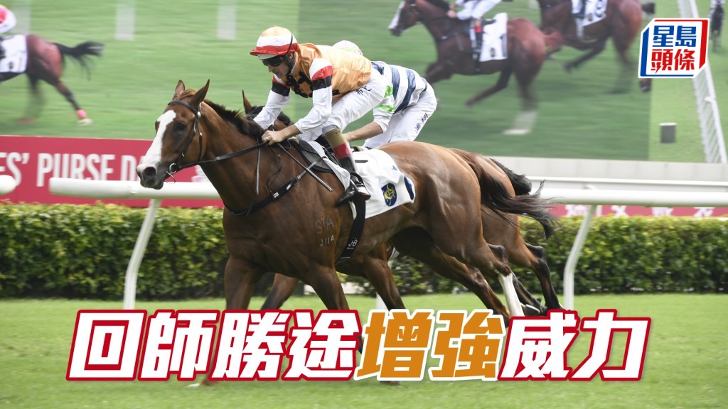 「增強」出自上季707強組，今次回師勝途可信賴。