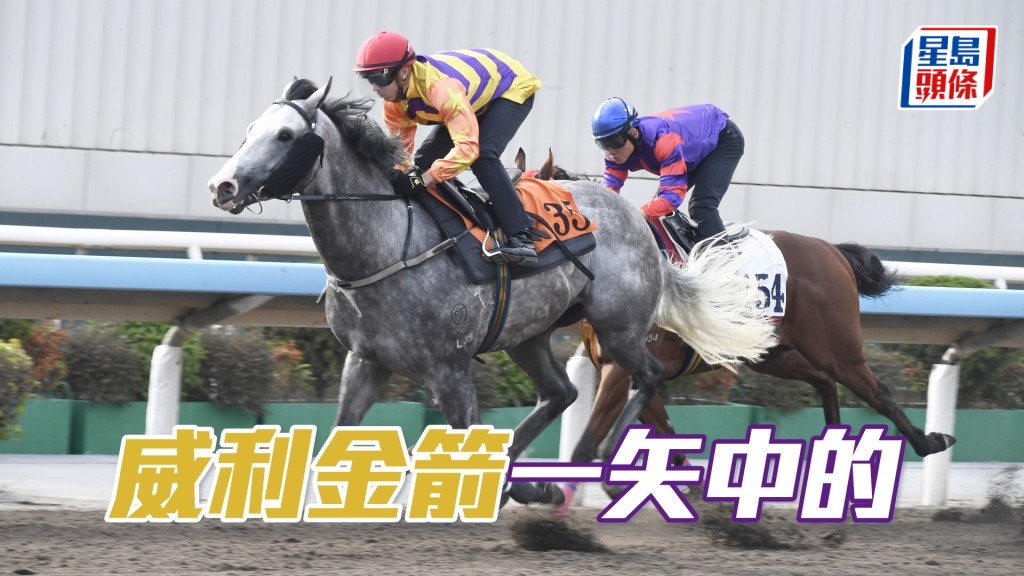 「威利金箭」負磅輕，強配韋紀力屬馬膽之材。