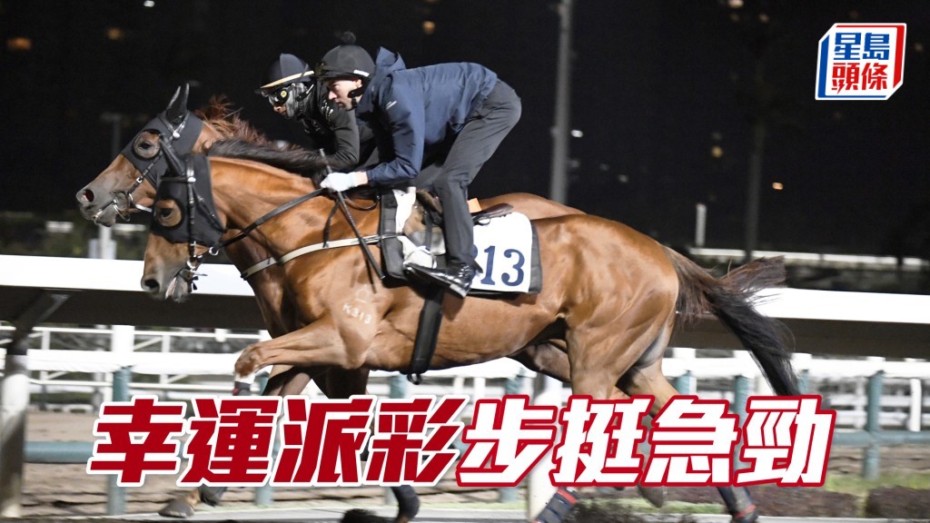 「幸運派彩」回程時擔高馬頭，樣子極神氣。