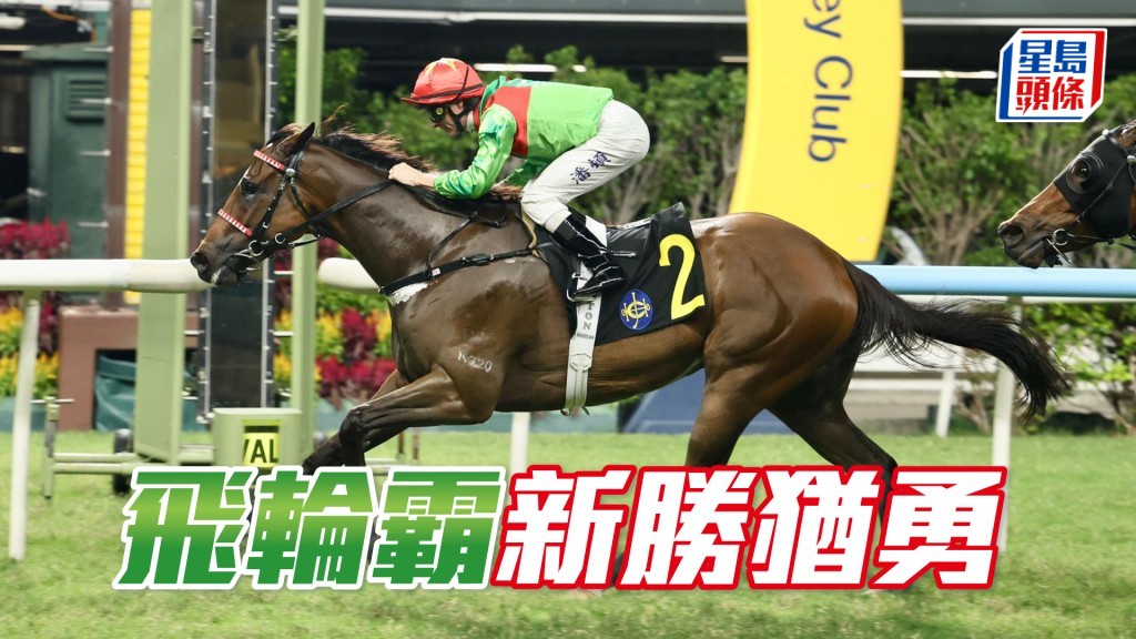 周三晚第八場「飛輪霸」將由李寶利策騎。