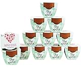 BUZZY Seeds Love Collection Mini Rose Terracotta Grow Pots, 12-Pack Gardening Kit Ideal for Wedding Favors, Baby Shower Prizes, Valentine’s