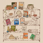 《纽约时报》2022年度十大好书